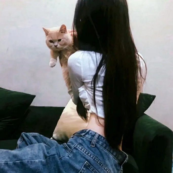 艾德·伍德